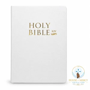 Holy Bible KJV